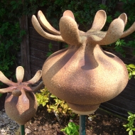 2PoppyHeads