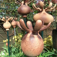 5PoppyHeads