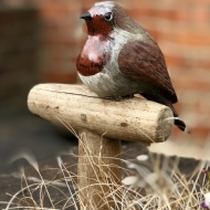 Robin