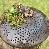 Succulent-Planter